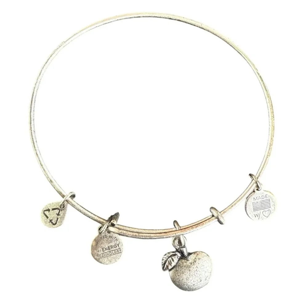 Alex and Ani Apple Charm Bracelet Silver Nature Expandable Bangle - Picture 14 of 14